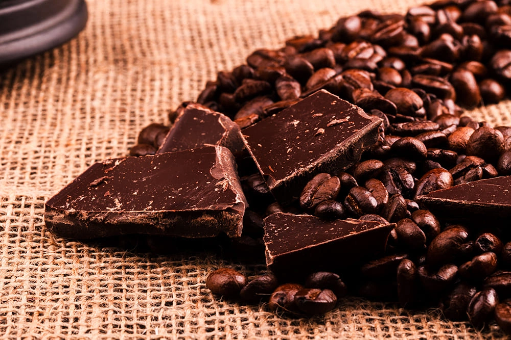 A square of dark chocolate placed on a neutral plate with minimal decoration.