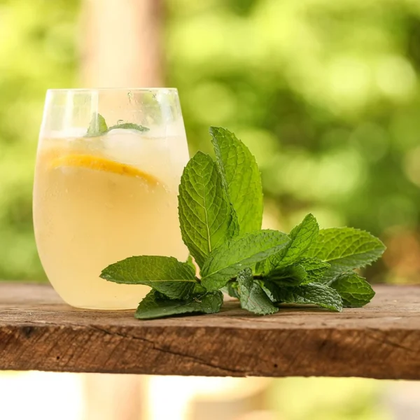 Refreshing lemon balm drink with lemon slice and fresh mint leaves on a wooden surface, ideal for weight loss and detox.